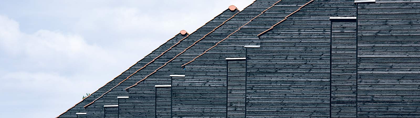 Superwood - Smukt og miljøvenligt