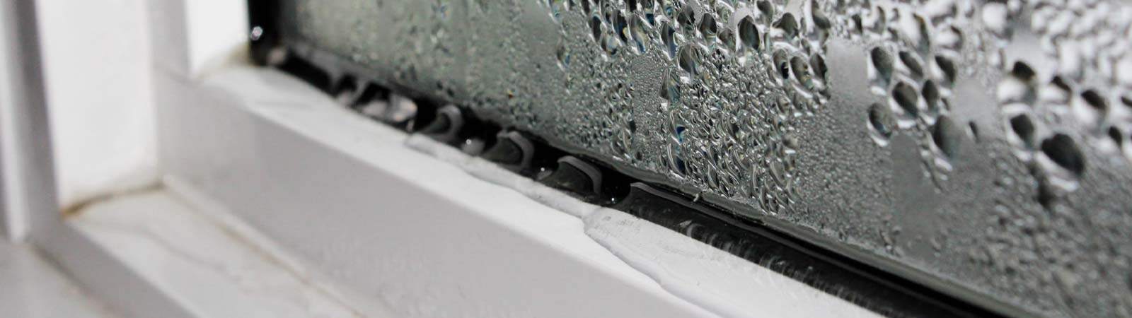 Fugt og skimmelsvamp i vinduer om vinteren