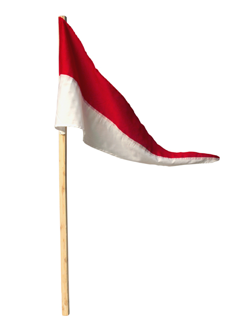 Dano Mast Rejsegildevimpel - 30x70cm