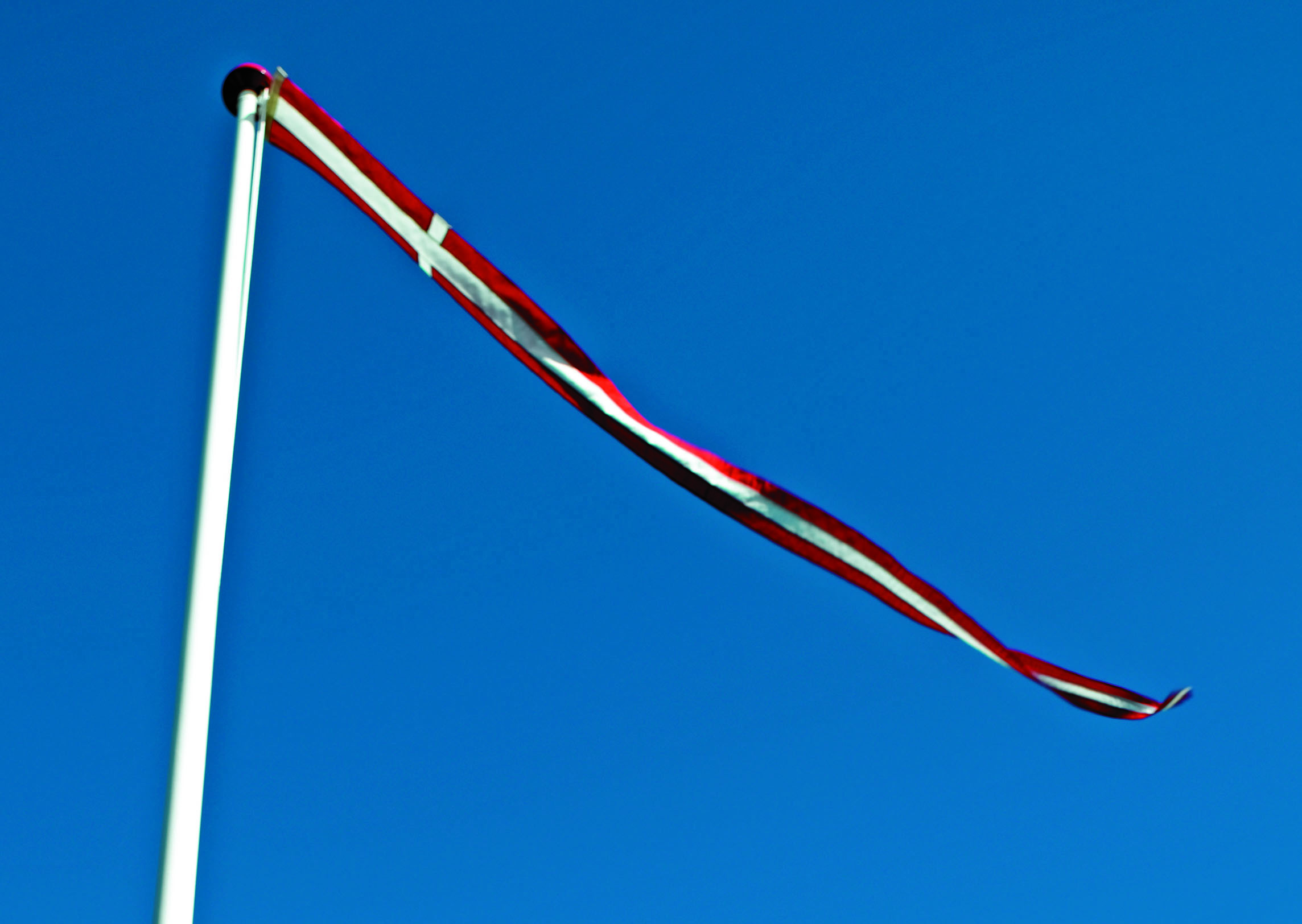 Dano Mast Dannebrogsvimpel - 23x600cm