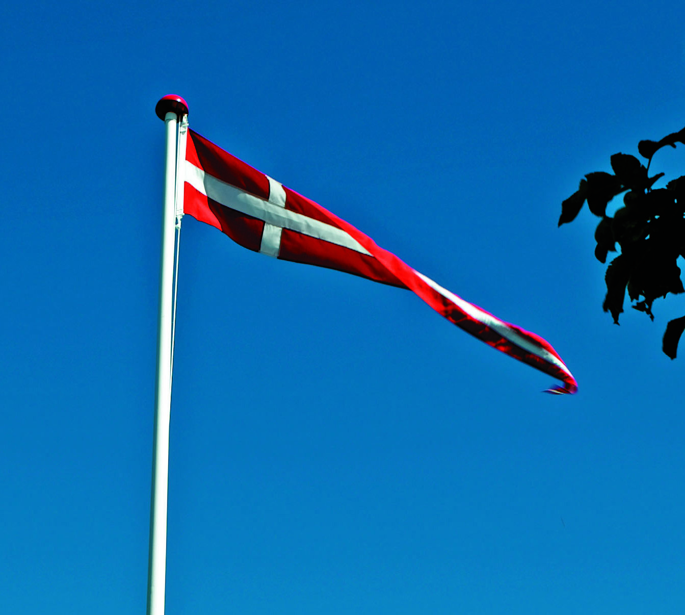Dano Mast Dannebrogstander - 50x350cm