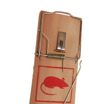 Skadedyrsbekæmpelse