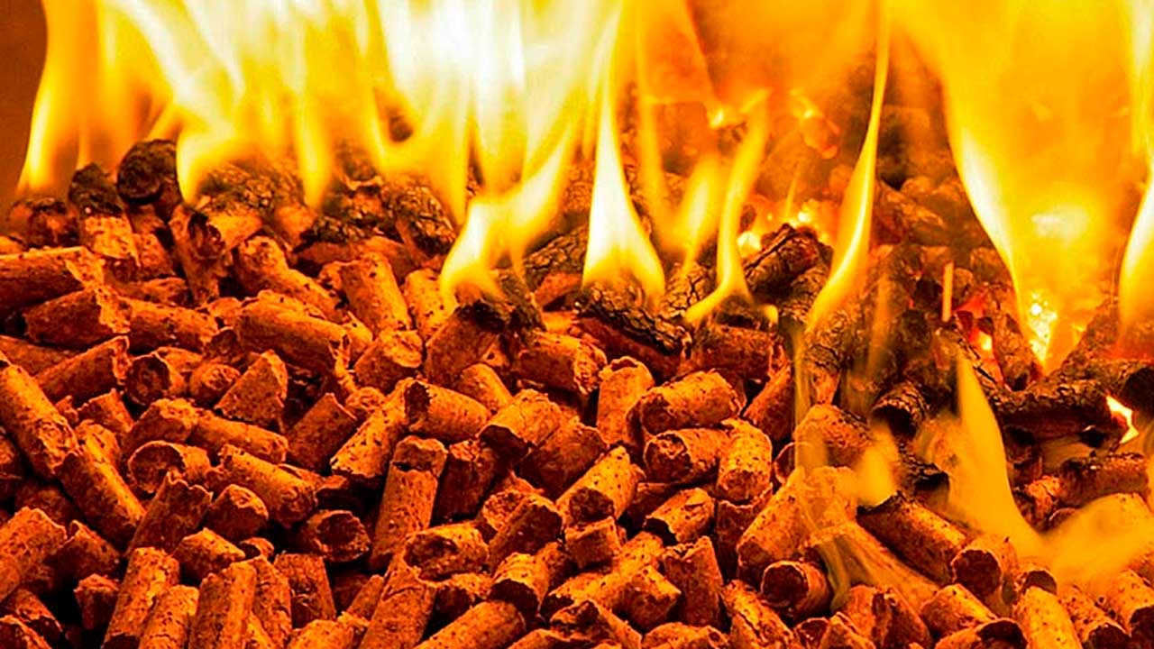 Standarder for træpiller sikrer brandværdi