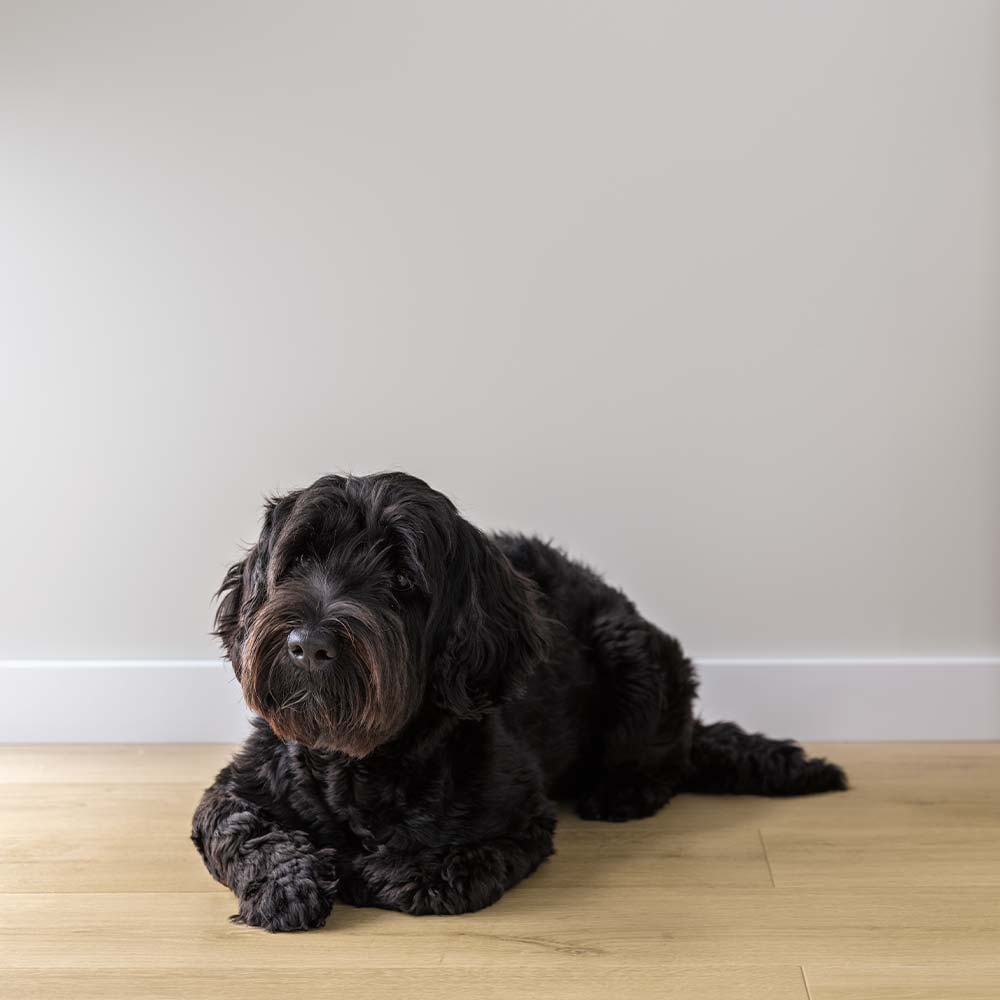 Pergo Sensation laminatgulve