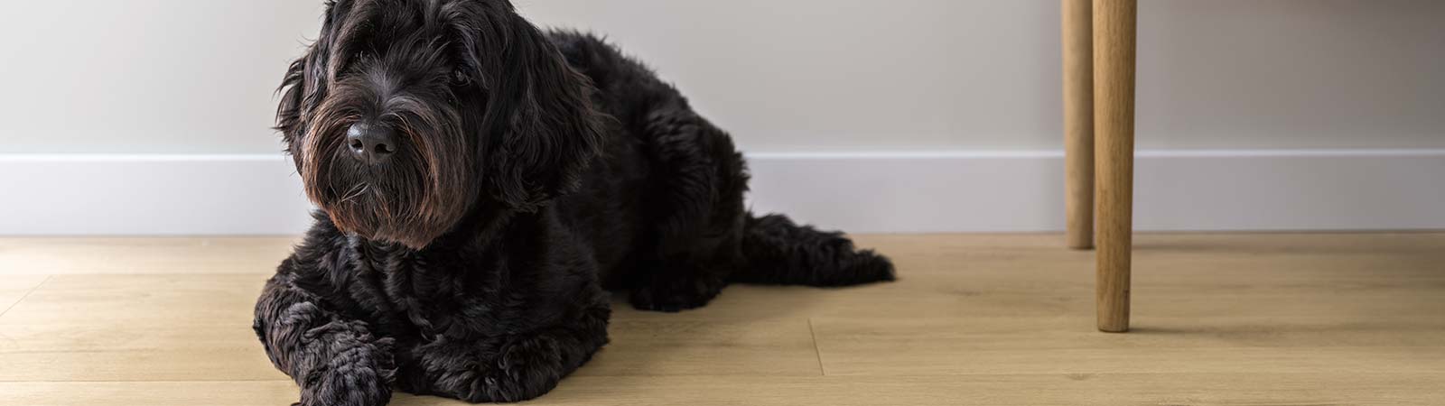 Pergo Sensation klikgulve