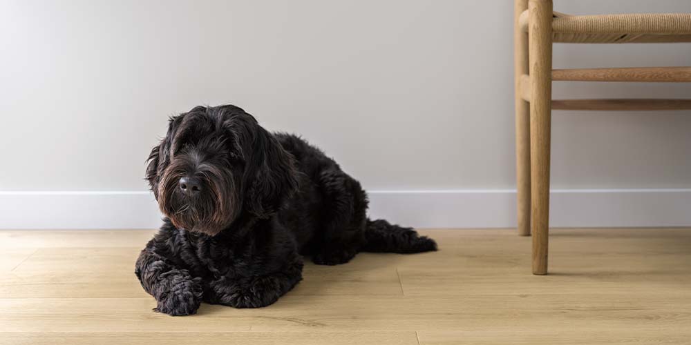 Pergo Sensation Lillehammer klikgulv