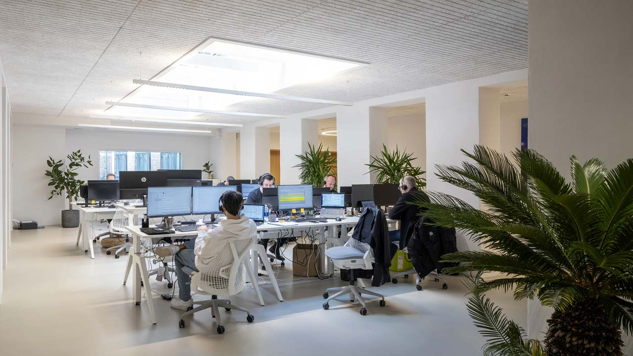 Lydabsorberende lofter til kontor