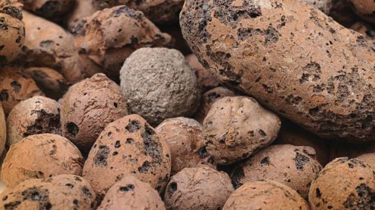 Lecakugler og lecanødder