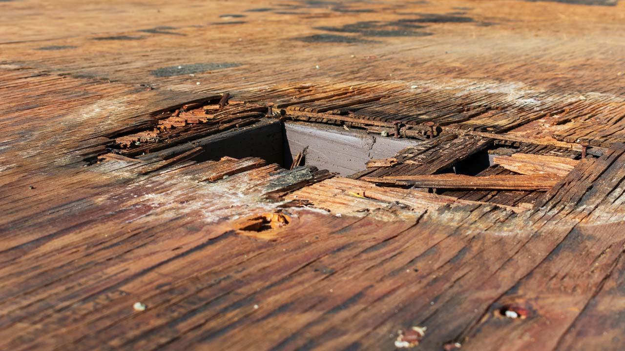 Fugtskadet krydsfinergulv