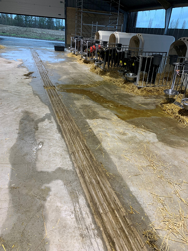 Polysan vandleder fører vand væk fra stald