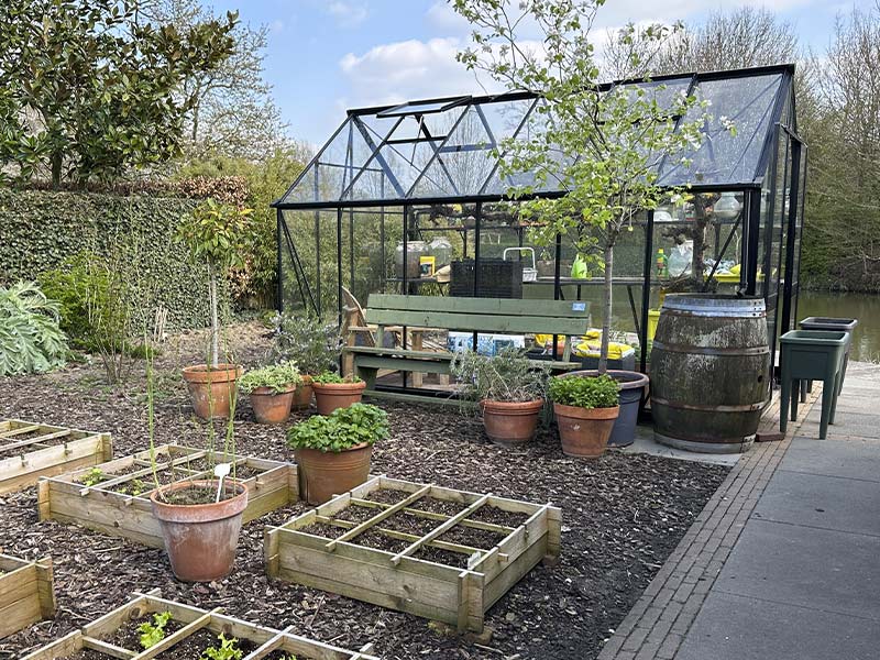 Drivhus i farver - her i sort