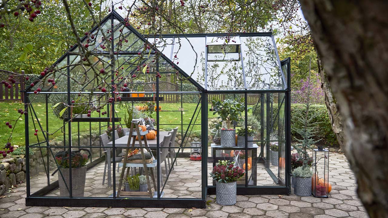 Stort Halls Icon Gardenhouse 8 drivhus