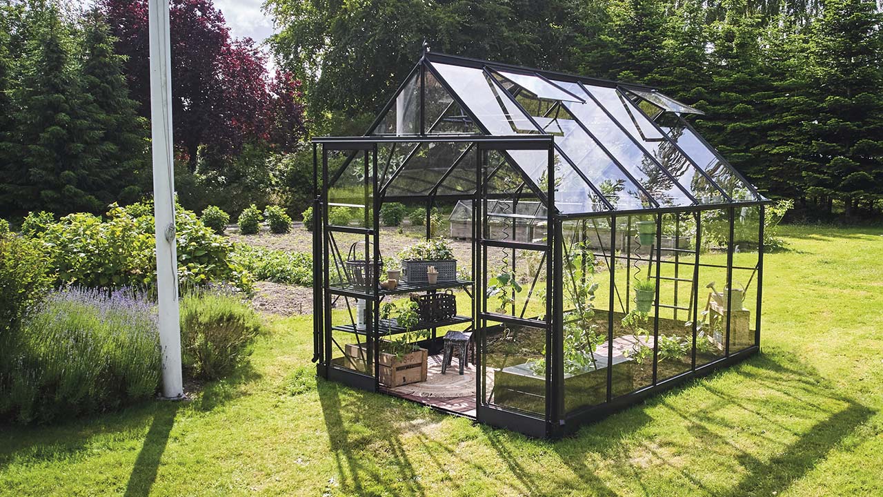 Sort Halls Drivhus Icon 8 midt i &aring;ben have