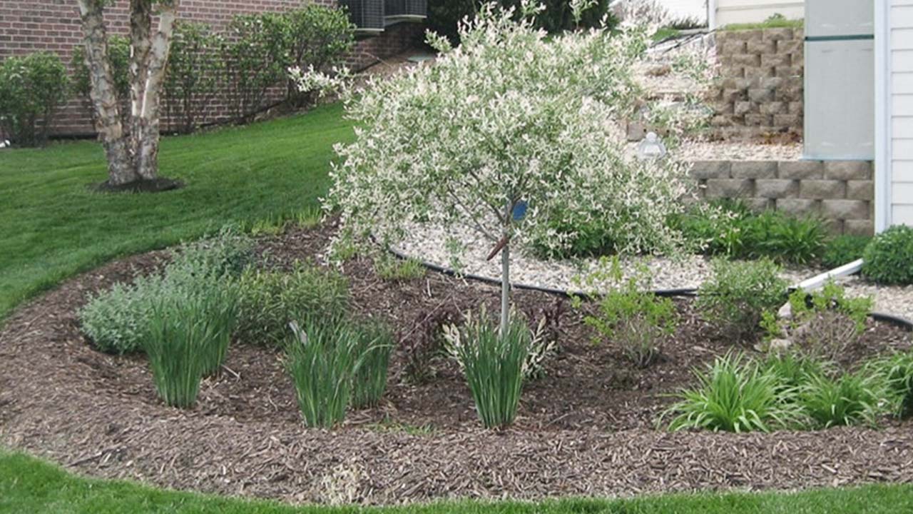 Naturlig regnvandshåndtering med et regnvandsbed