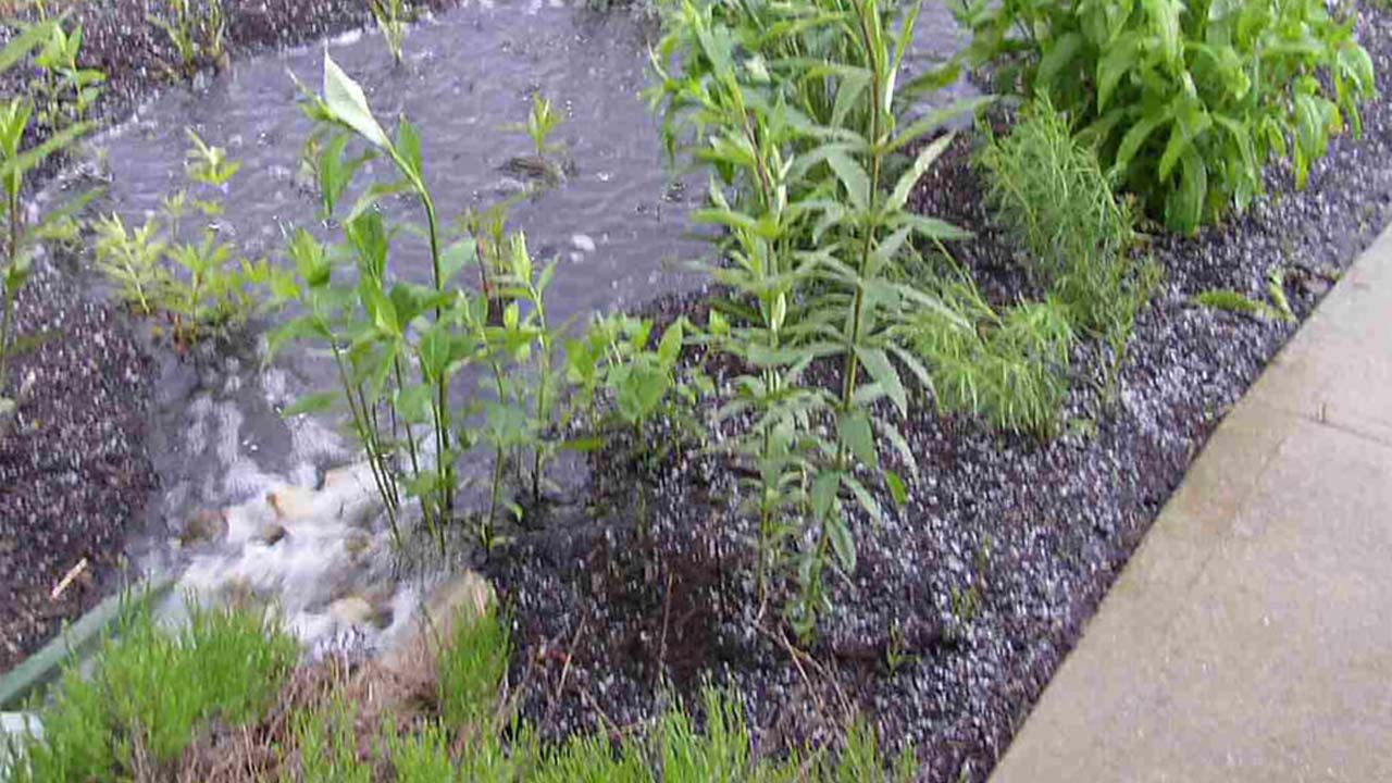 Et dekorativt regnvandsbed, der fungerer som LAR løsning