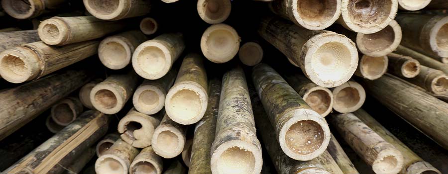 Bambusstokke til beklædningsbrædder