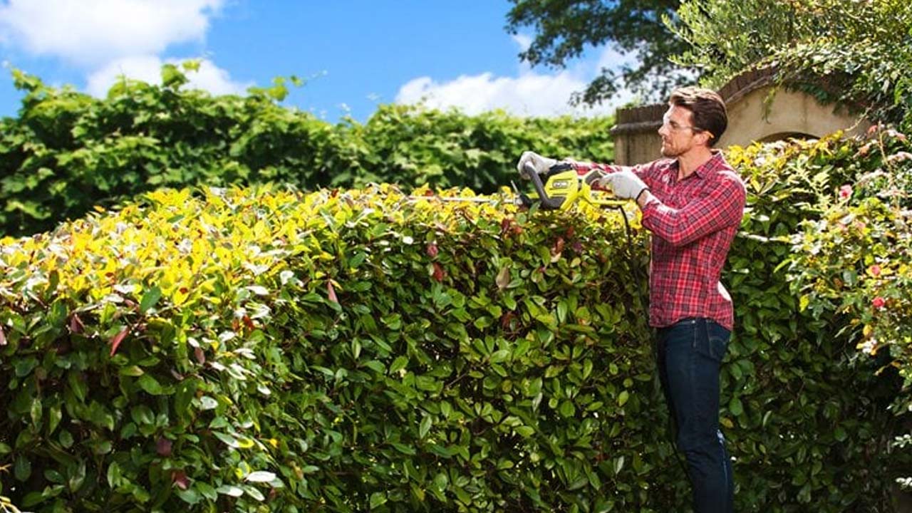 Ryobi el hækkeklipper RHT5655RS