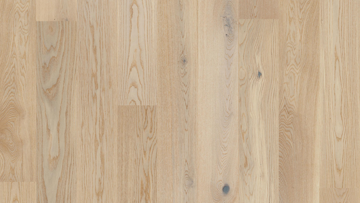 Tarkett Parketgulv - Shade Eg - Rustic Cream White Plank XT