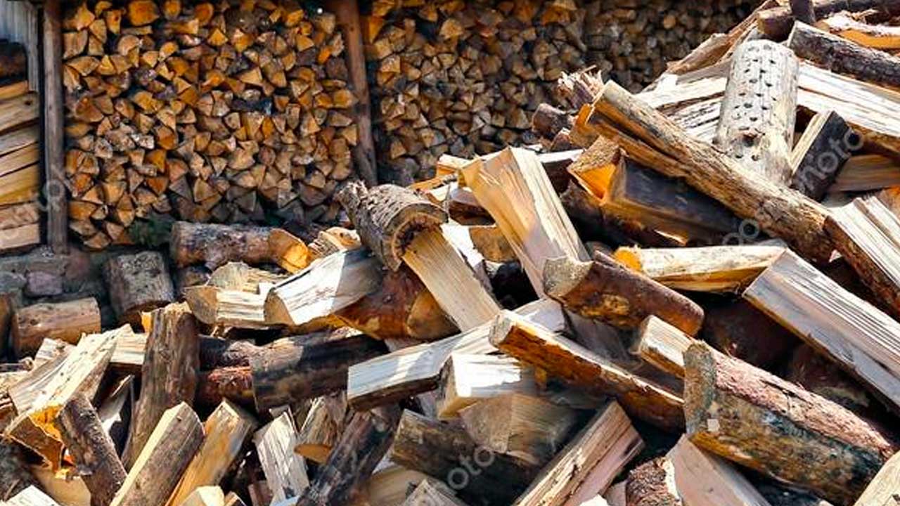 Birk, løvtræ og bøgetræ til pejs og brændeovn