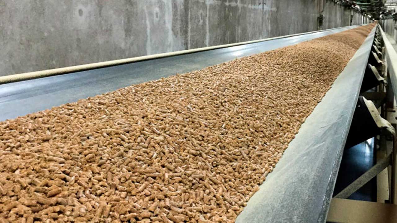 Fremstilling af træpiller