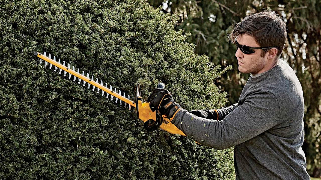 DeWalt hækkeklipper med langt sværd