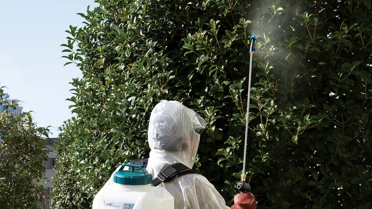 Sprøjtning af frugttræer med Makita rygsprøjte