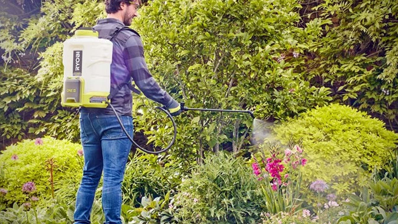 Sprøjtning af busk med Ryogi havesprøjte