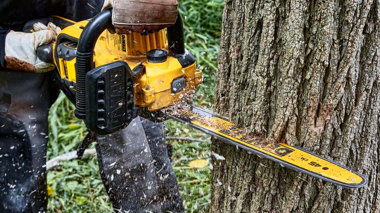 DEWALT motorsav igang med at fælde et træ