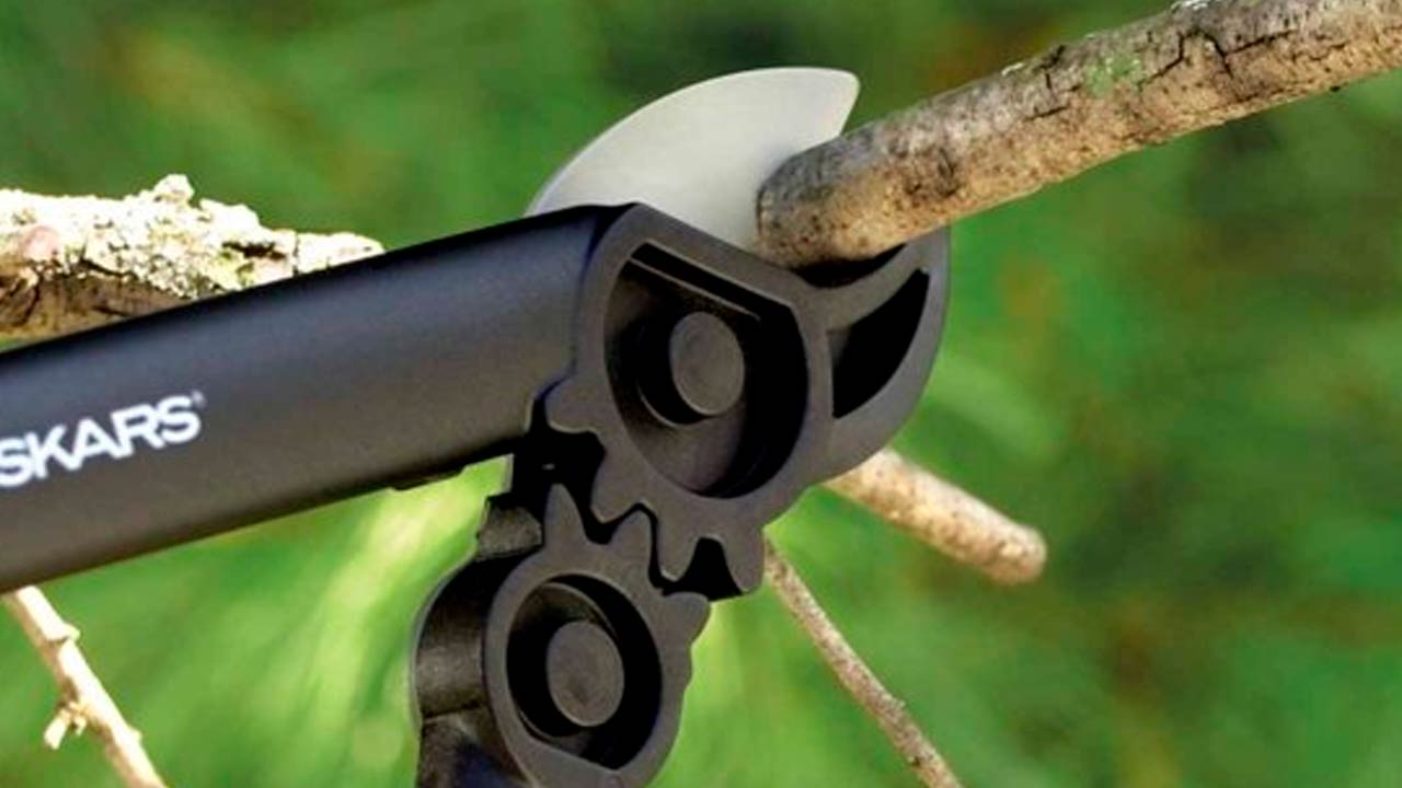 Grensaks og grensave til beskæring